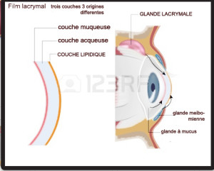 FILM LACRYMAL FINI